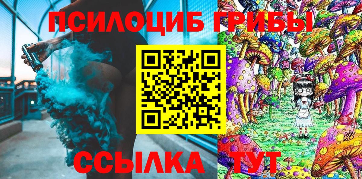 Псилоцибиновые грибы Psilocybe Амурск