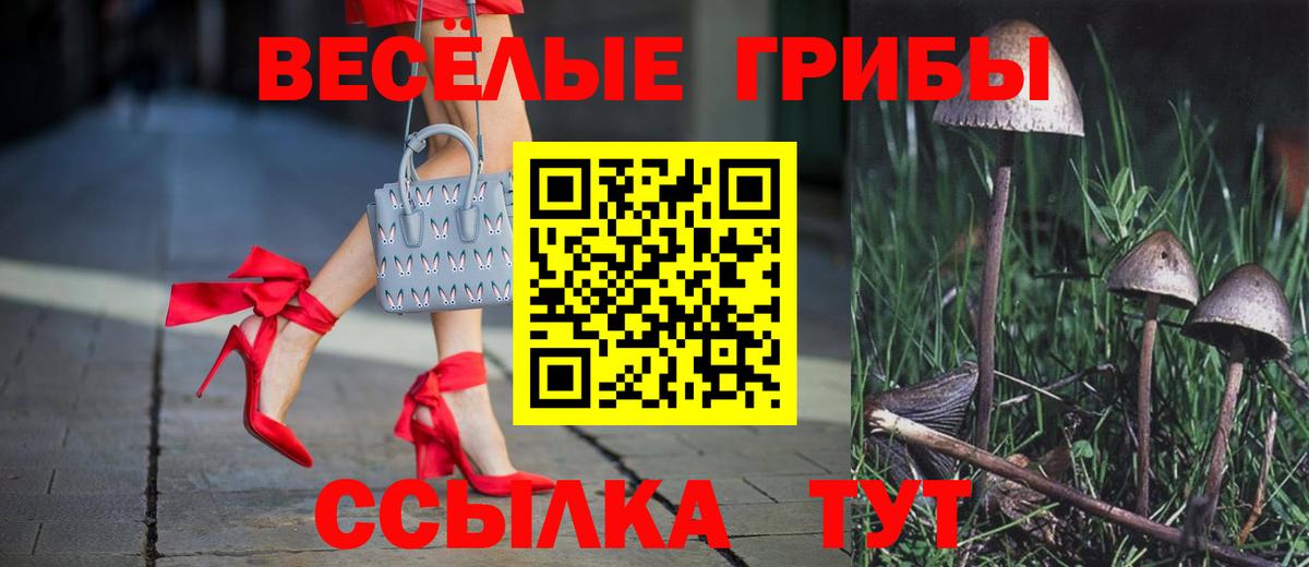 Галлюциногенные грибы Cubensis  где продают   Амурск  Вход с VPN 