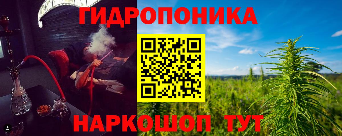 Шишки марихуана Amnesia  Вход с VPN  Шишки марихуана индика  Амурск 